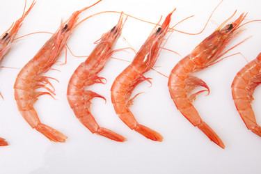 Similar image 13003080