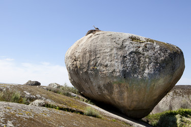 Similar image 13003119