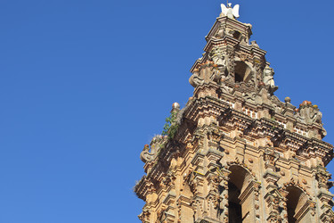 Similar image 13012333