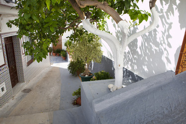 Similar image 13012334