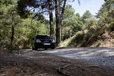 Similar image 13036455