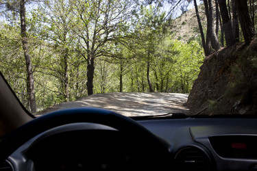 Similar image 13043489