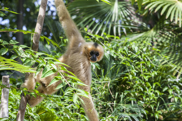 Similar image 13003084