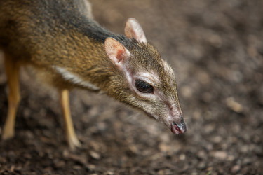 Similar image 13012383