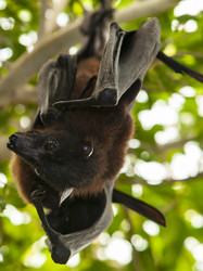 Similar image 13012384