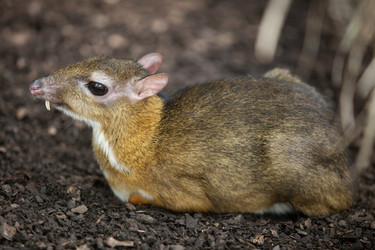 Similar image 13012399