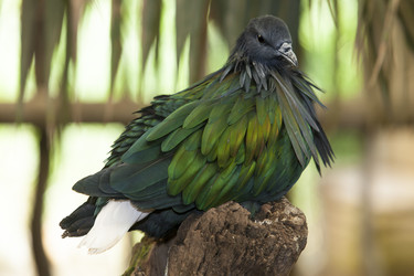 Similar image 13012400