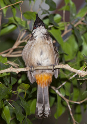 Similar image 13036457