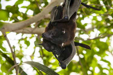 Similar image 13043472