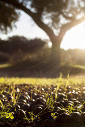 Similar image 13003104