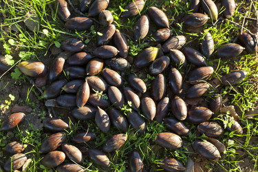 Similar image 13003105