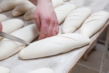 Similar image 13003090