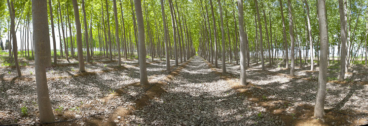 Similar image 13012386