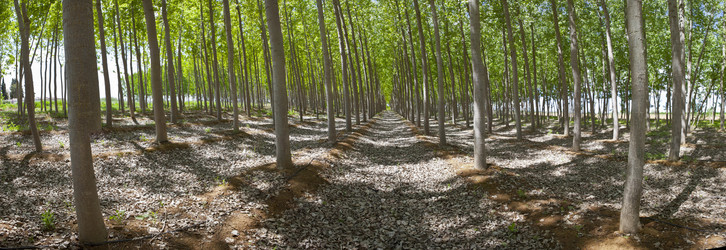 Similar image 13012405