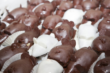 Similar image 13043513