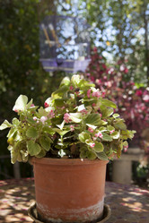 Similar image 13003093