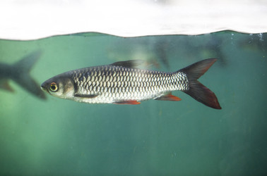 Similar image 13003094