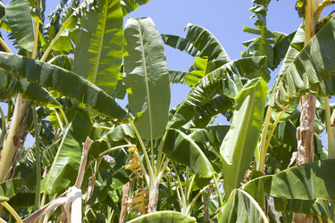 Similar image 13003110