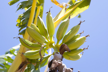 Similar image 13003112