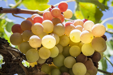 Similar image 13012368