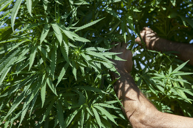 Similar image 13012388