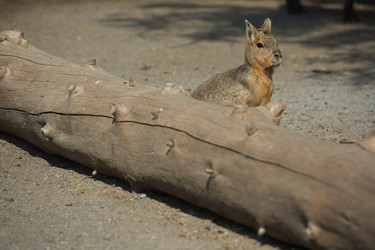 Similar image 13003113