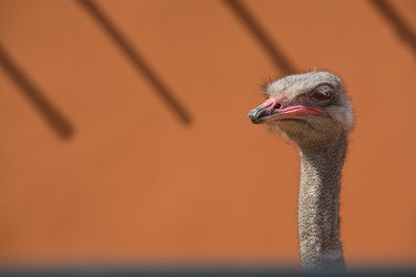 Similar image 13003114