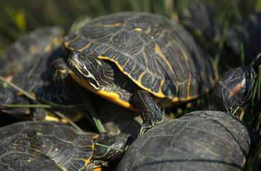 Similar image 13003125