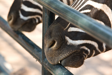 Similar image 13012389