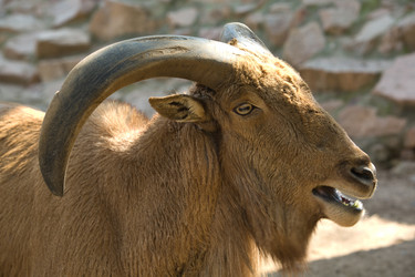 Similar image 13012390