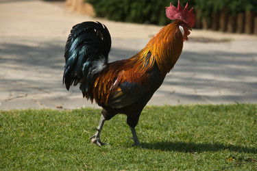 Similar image 13012409