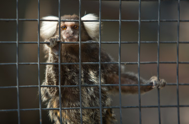 Similar image 13012417