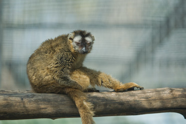 Similar image 13043450