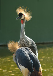 Similar image 13043496