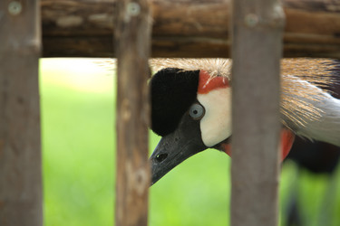 Similar image 13043497