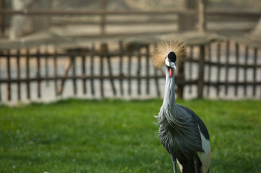 Similar image 13043516