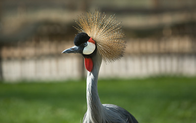 Similar image 13043517