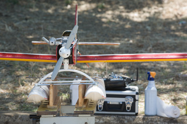 Similar image 13003115