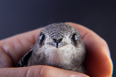 Similar image 13012372