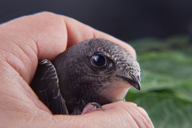 Similar image 13012392