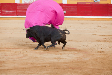 Similar image 13012412