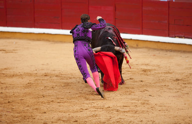 Similar image 13036461