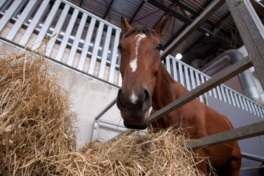 Similar image 13043480