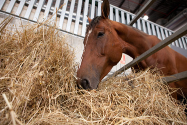 Similar image 13043498