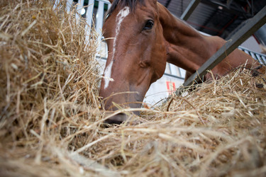 Similar image 13043499