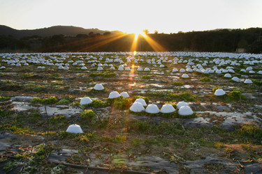 Similar image 13036416