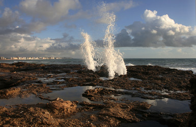 Similar image 13043540