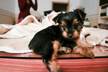 Similar image 13036434