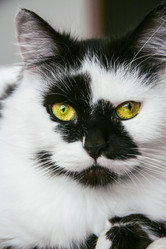 Similar image 13043561