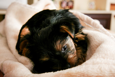 Similar image 13043563